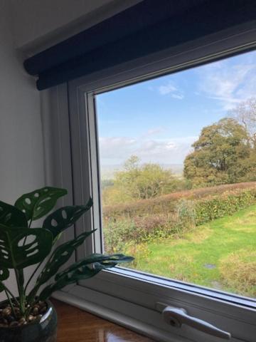 Trinity Cottage ウェルシュプール エクステリア 写真
