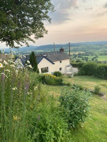 Trinity Cottage ウェルシュプール エクステリア 写真