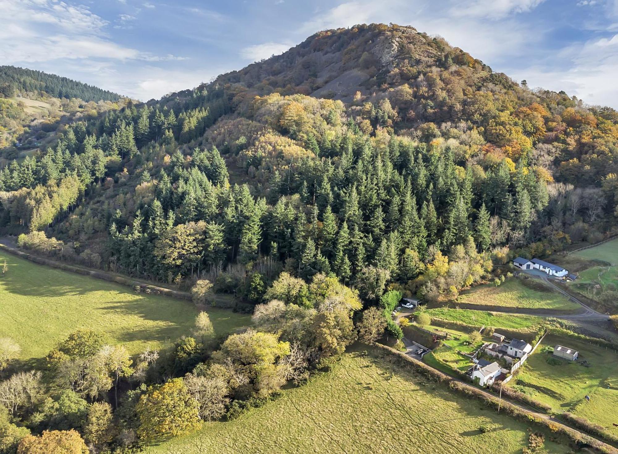 Trinity Cottage ウェルシュプール エクステリア 写真